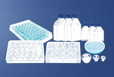 Hücre Kültürü & PCR Sarflar